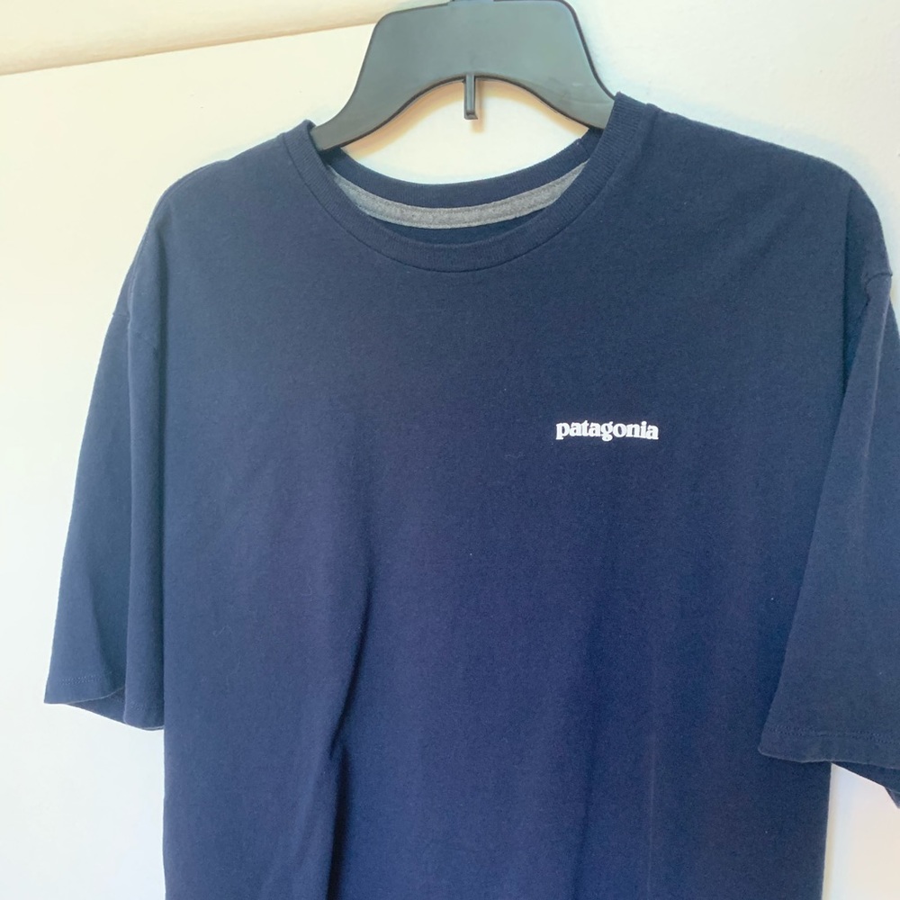 Patagonia Shirt